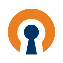 OpenVPN GUI Icon